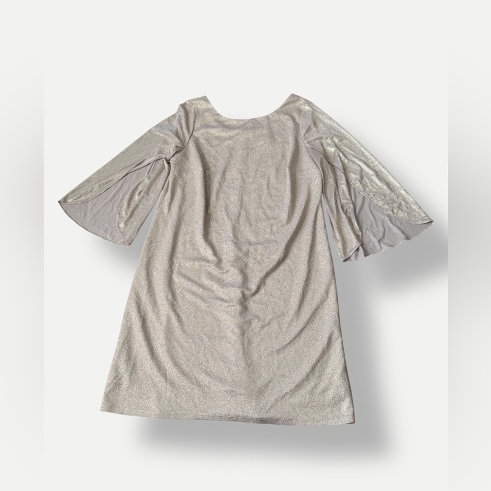 Elegant Silver Dress with Split Sleeves - Picture 3 of 3